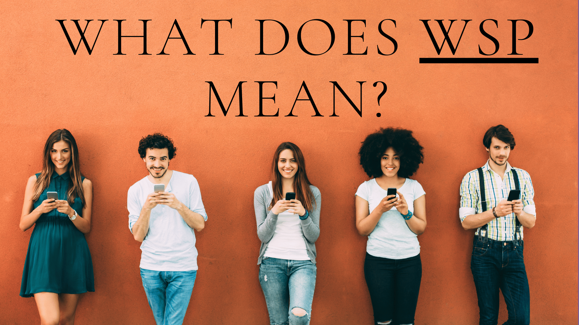 Meaning behind WSP Text