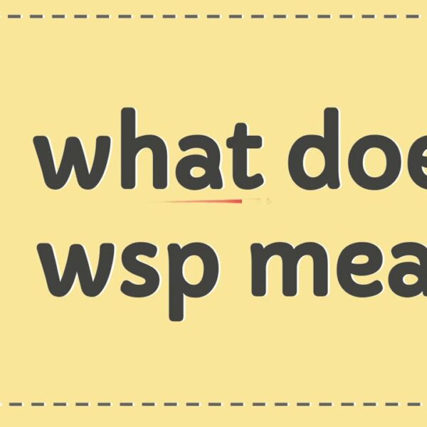 Meaning behind WSP Text